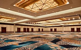 Hilton Austin